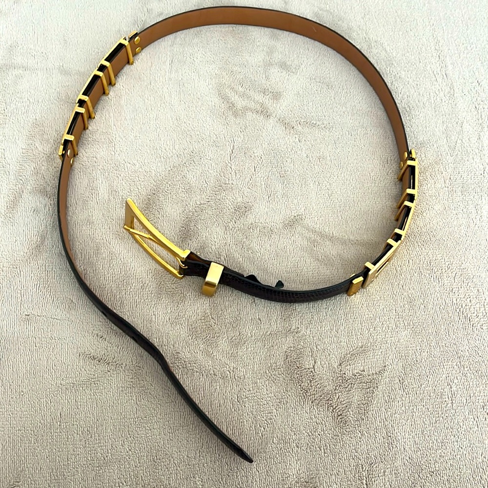 Woman Brown and Golden Belt SZ One Size